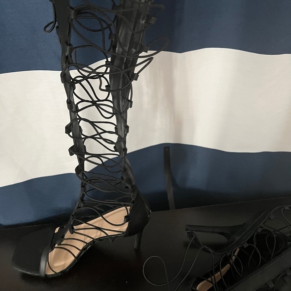 Ana Michelle Shoes - Ana Michelle Sexy Up the Leg Shoes Sz 11